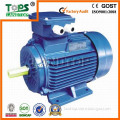 TOPS Y2 three phase electric motors manufacturers